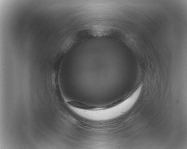 X0000067000219200604072157