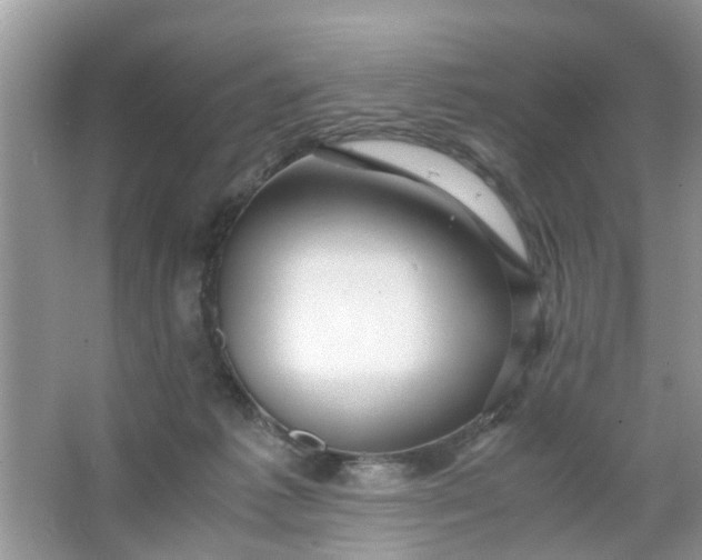 X0000067000221200604072157