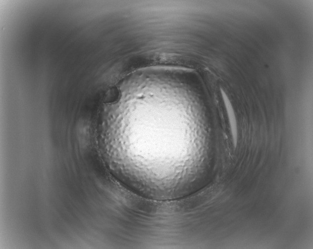 X0000067000222200604072157