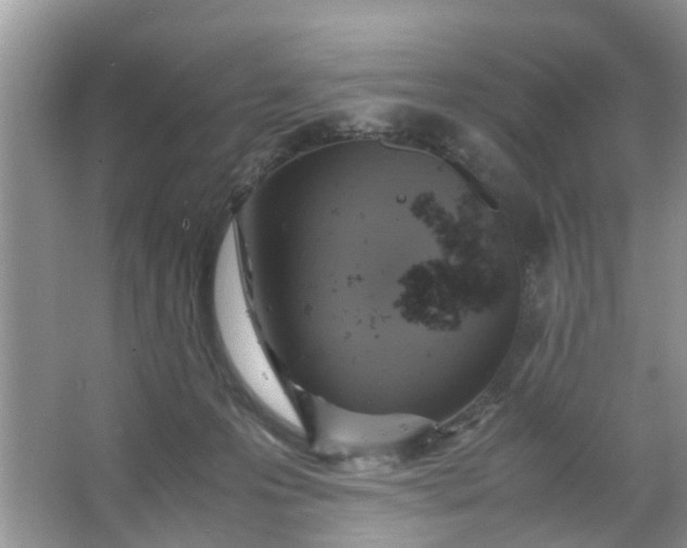 X0000067000223200604072157