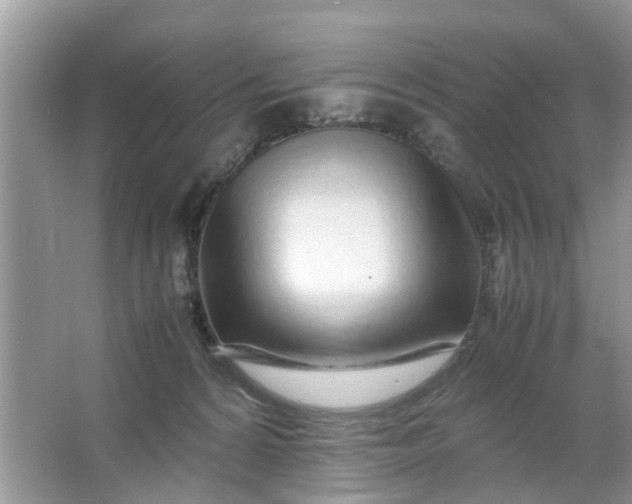 X0000067000224200604072157