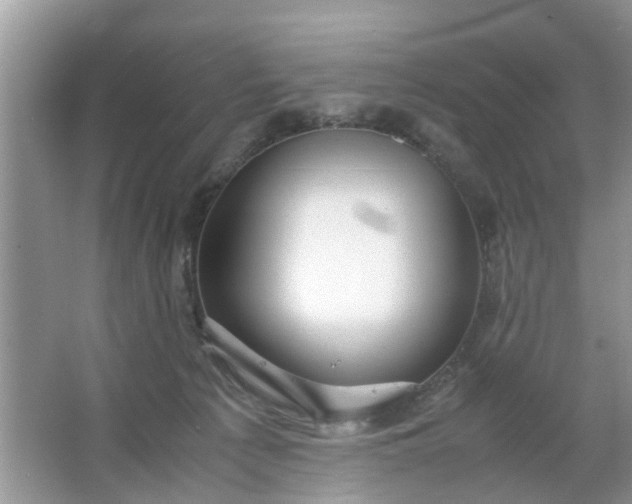 X0000067000225200604072157