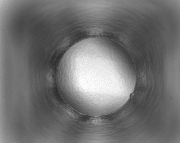 X0000067000228200604072157