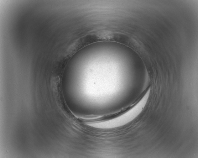 X0000067000229200604072157