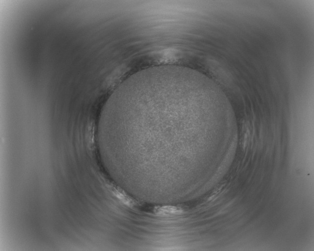 X0000067000230200604072157