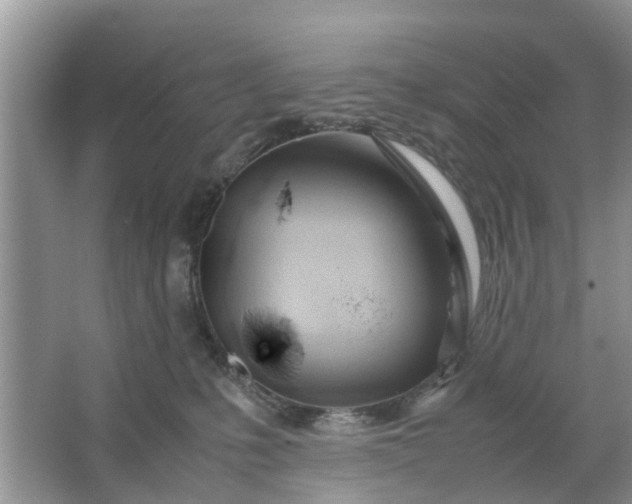 X0000067000231200604072157