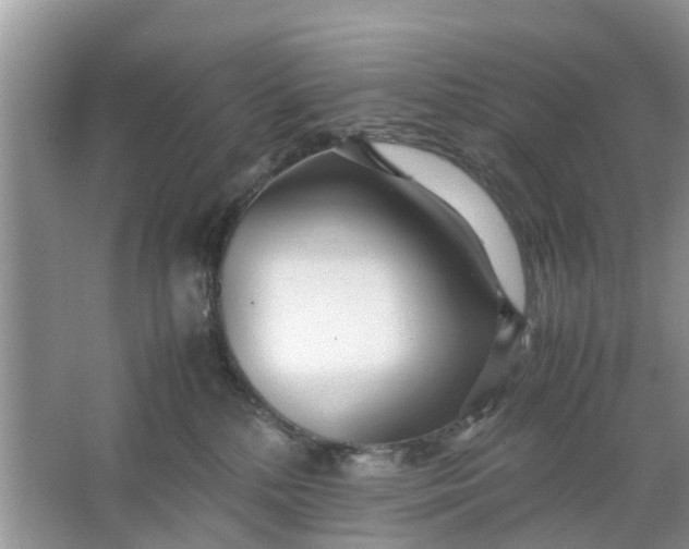 X0000067000232200604072157