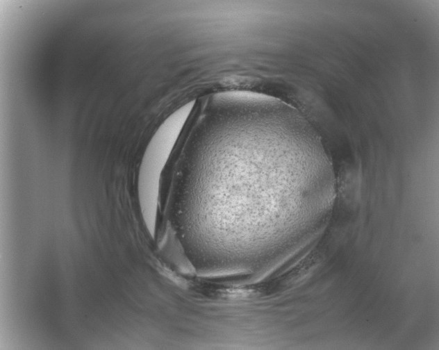 X0000067000233200604072157