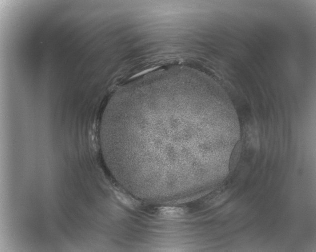 X0000067000234200604072157