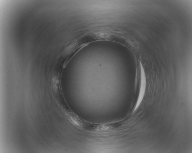 X0000067000235200604072157