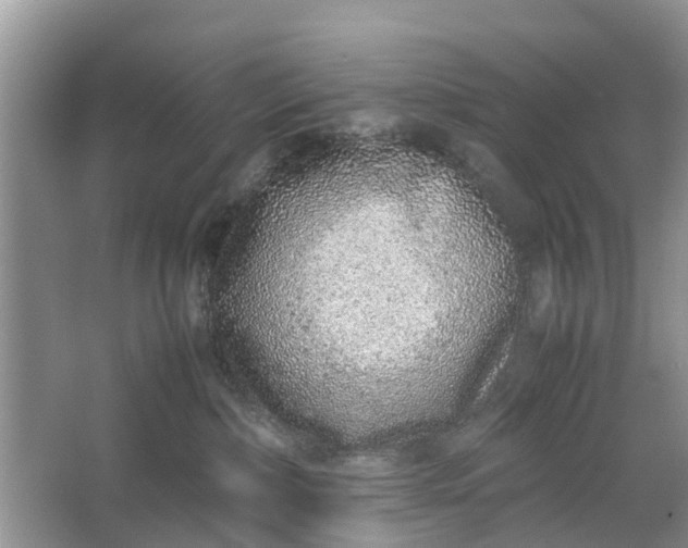 X0000067000236200604072157