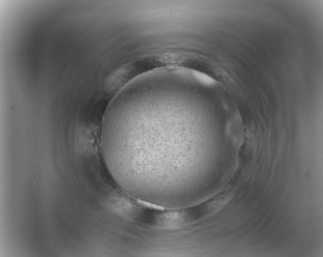 X0000067000237200604072157