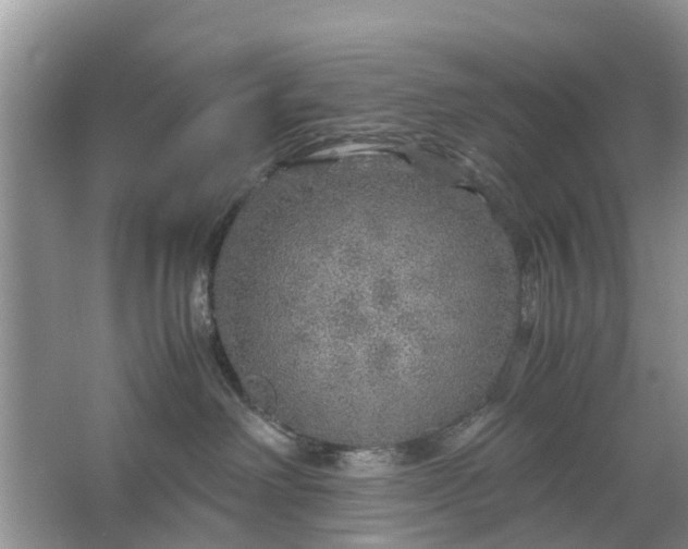 X0000067000238200604072157