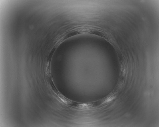 X0000067000239200604072157