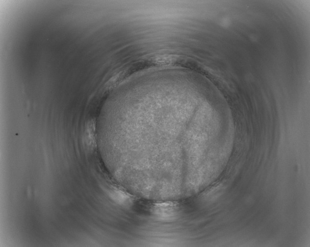 X0000067000240200604072157