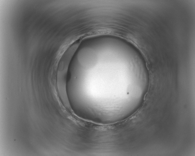 X0000067000241200604072156