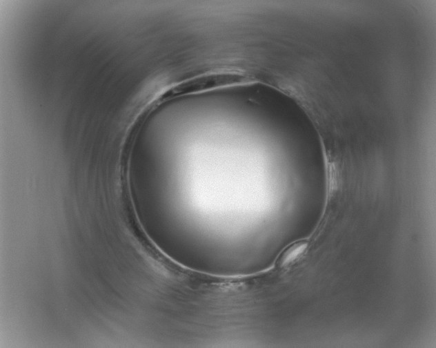 X0000067000243200604072156