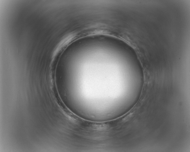 X0000067000245200604072156