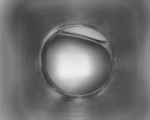 X0000067000246200604072156