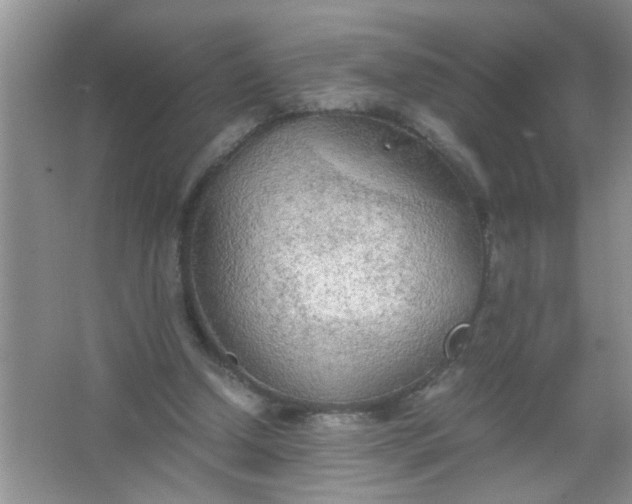 X0000067000250200604072156