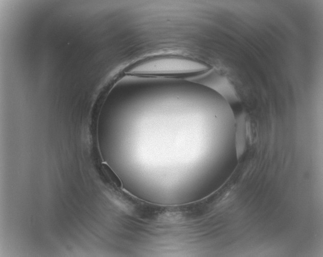 X0000067000252200604072156