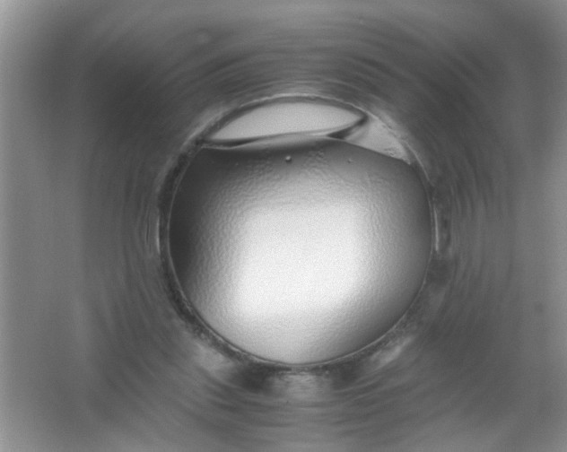 X0000067000253200604072156