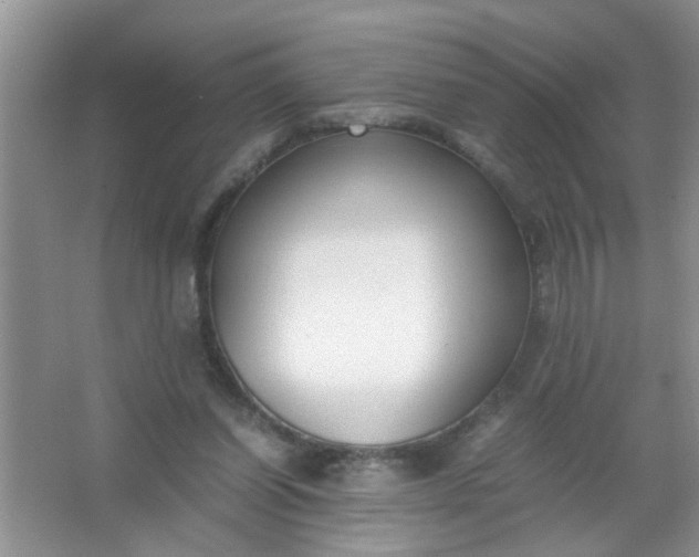 X0000067000254200604072156