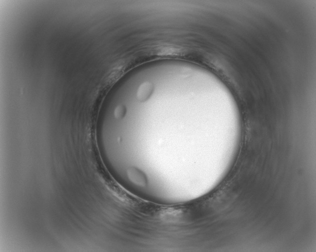 X0000067000257200604072156