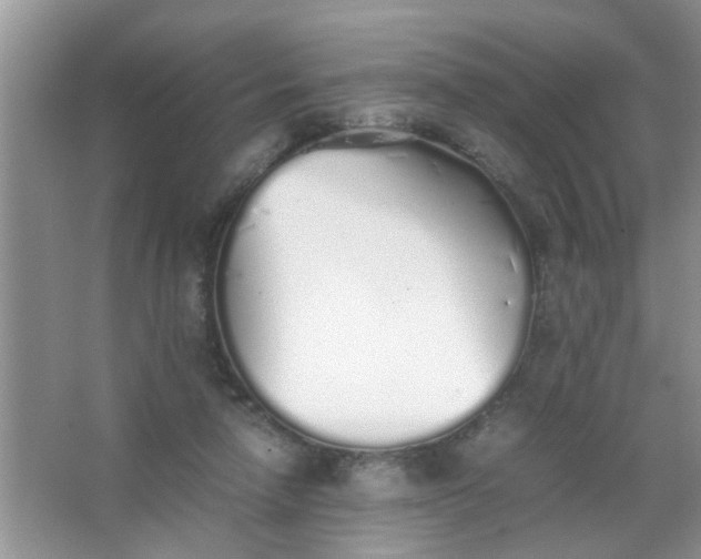 X0000067000258200604072156