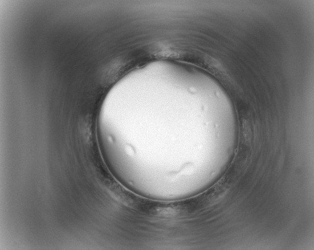 X0000067000259200604072156