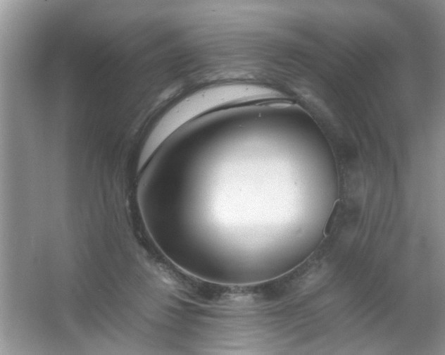 X0000067000260200604072156