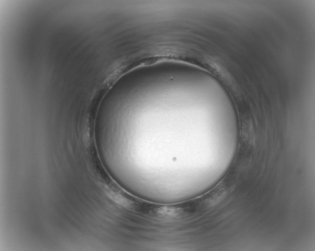 X0000067000261200604072156