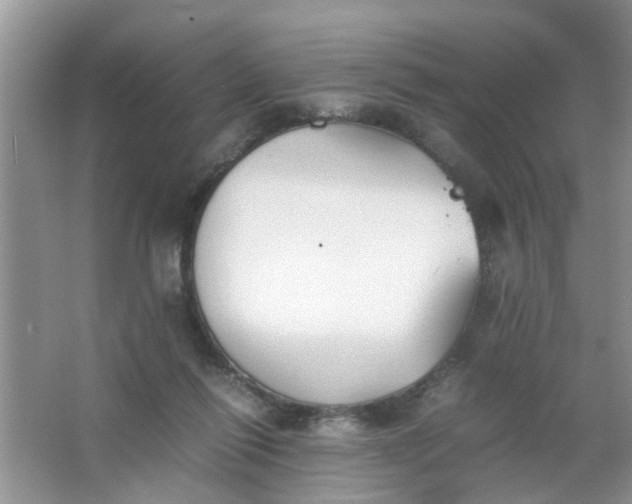 X0000067000262200604072156