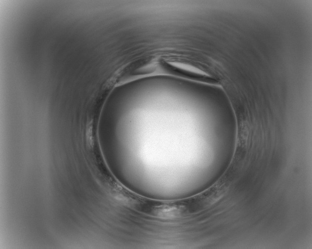 X0000067000267200604072156