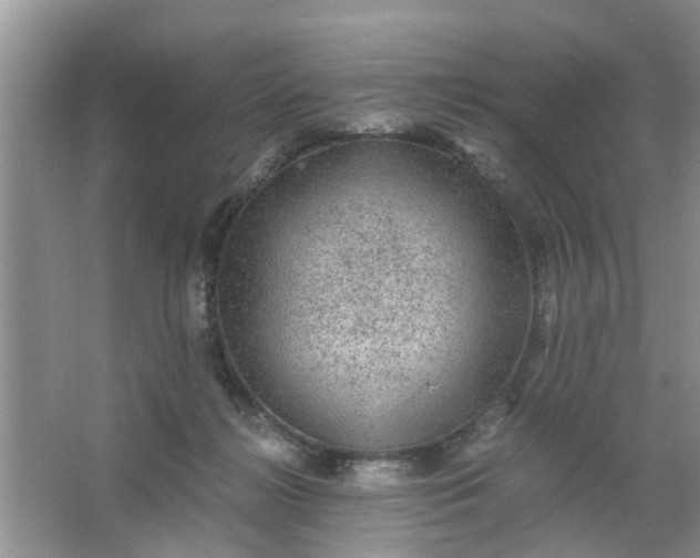 X0000067000268200604072157