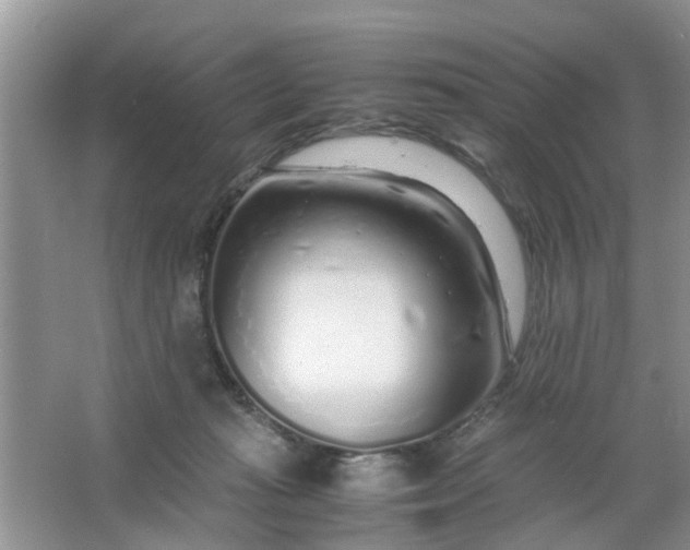 X0000067000269200604072157