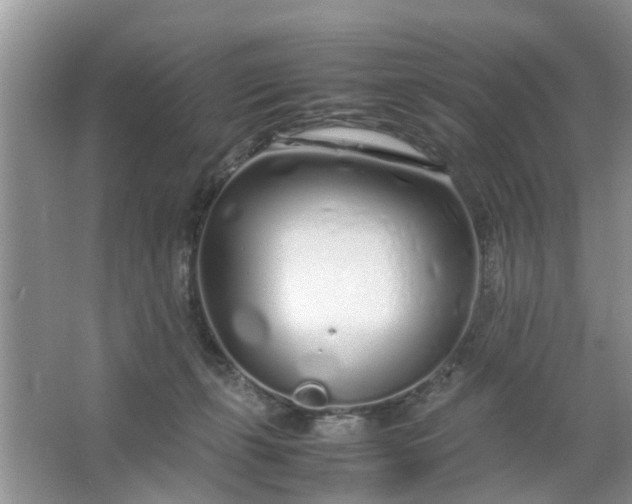 X0000067000271200604072157