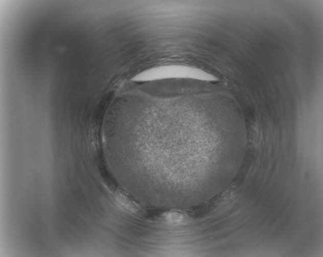 X0000067000272200604072157