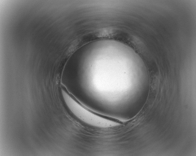 X0000067000273200604072157