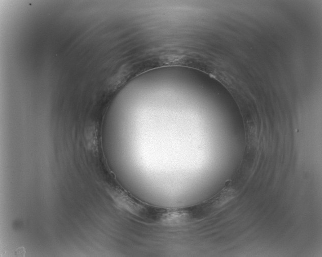 X0000067000274200604072157