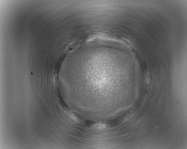 X0000067000276200604072157