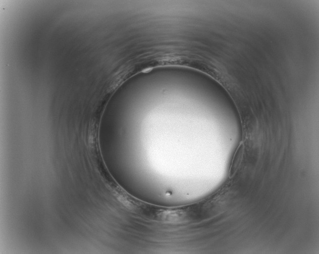 X0000067000277200604072157