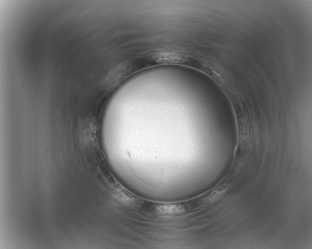 X0000067000281200604072157