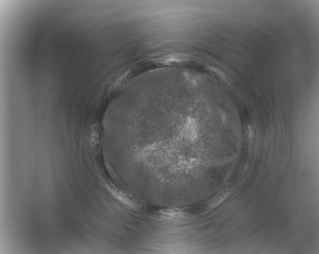 X0000067000284200604072157