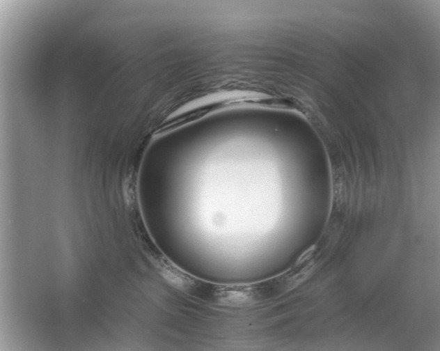 X0000067000285200604072157