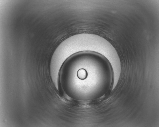 X0000067000287200604072157