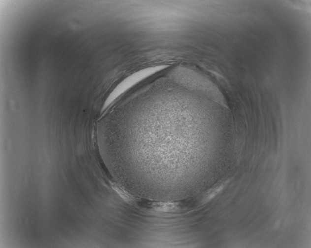 X0000067000288200604072157