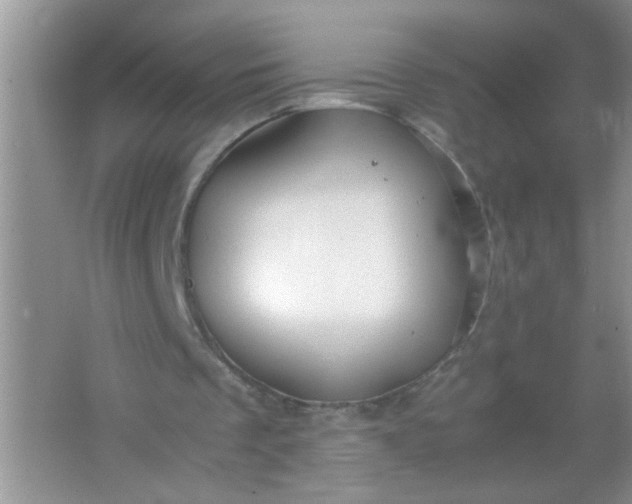 X0000067000289200604072156