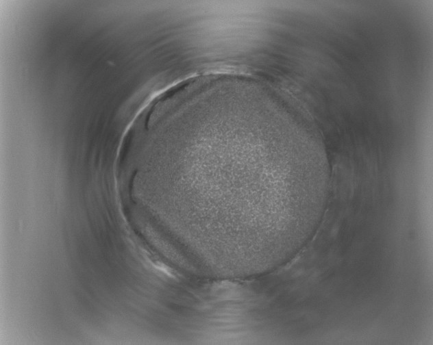 X0000067000290200604072156