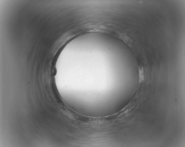 X0000067000291200604072156